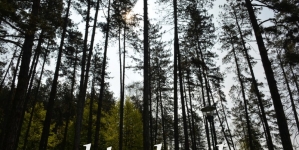 Vlada TK: Utvrđen prijedlog Zakona o šumama