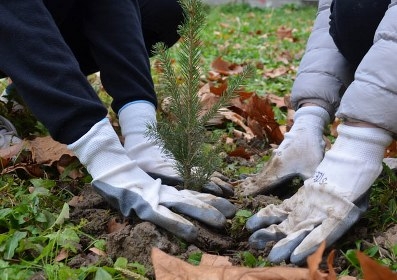 Sedma terenska akcija sadnje drveća “Let's Do It – milion sadnica za 1 dan” u Gradu Tuzla