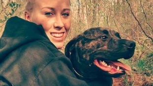 Nije bio medvjed: Ubili je njeni psi