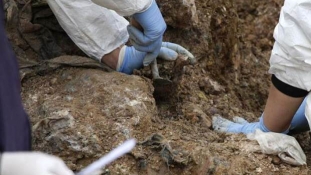 Tuzla: Identifikovano osam žrtava iz masovne grobnice Hemlijaši
