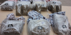 Prilikom pretresa pronađeno oko 70 kg opojne droge canabis sativa- skank
