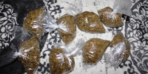 Pretres u Tuzli: Pronađeno više od pola kilograma opojne droge Cannabis