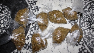 Pretres u Tuzli: Pronađeno više od pola kilograma opojne droge Cannabis