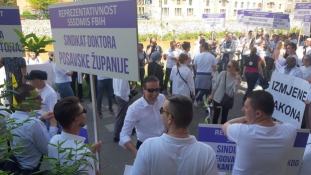 Protestno okupljanje doktora medicine i stomatologije Federacije Bosne i Hercegovine
