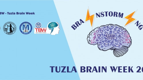 Brainstorming ovogodišnja tema Tuzla Brain Week
