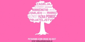 Dan ružičastih majica: Mladi u 20 bh. gradova šalju poruku protiv vršnjačkog nasilja