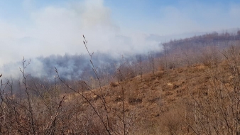 Vatrogasci se bore protiv požara na Husinu