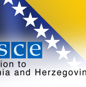 ​​​Misija OSCE-a u BiH poziva sve nivoe vlasti da donesu održiva rješenja, u skladu s ljudskim pravima, za migrantsku i humanitarnu krizu u porastu