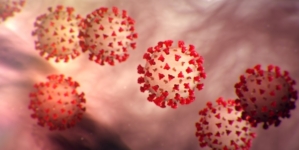 Kliničko istraživanje – U Britaniji će 90 dobrovoljca biti izloženo koronvirusu