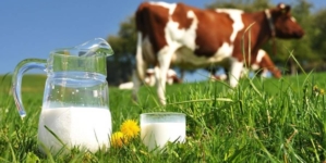 Danas je Svjetski dan mlijeka kojeg ne koristimo dovoljno – upoznajmo njegove prednosti