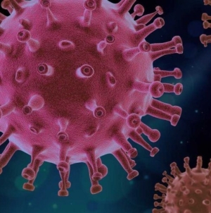 U BiH 756 novozaraženih koronavirusom, preminulo 13 osoba
