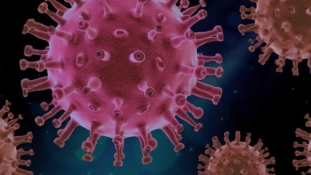 U BiH 756 novozaraženih koronavirusom, preminulo 13 osoba