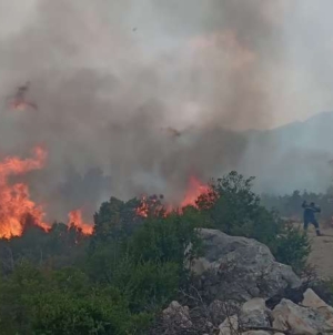 U Neumu svo ljudstvo na požarištu, očekuje se pomoć helikoptera OS BiH