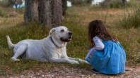 Koje rase pasa su najbolje za život sa djecom?