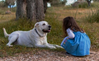 Koje rase pasa su najbolje za život sa djecom?
