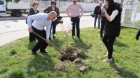 Grad Tuzla započeo proljetnu akciju sadnje drveća i ukrasnog grmlja