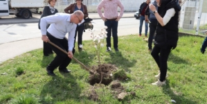 Grad Tuzla započeo proljetnu akciju sadnje drveća i ukrasnog grmlja