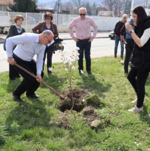 Grad Tuzla započeo proljetnu akciju sadnje drveća i ukrasnog grmlja