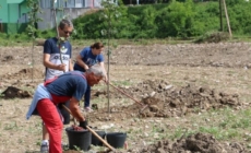 Srebrenik: Zasađene prve sadnice u budućem gradskom parku