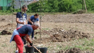 Srebrenik: Zasađene prve sadnice u budućem gradskom parku